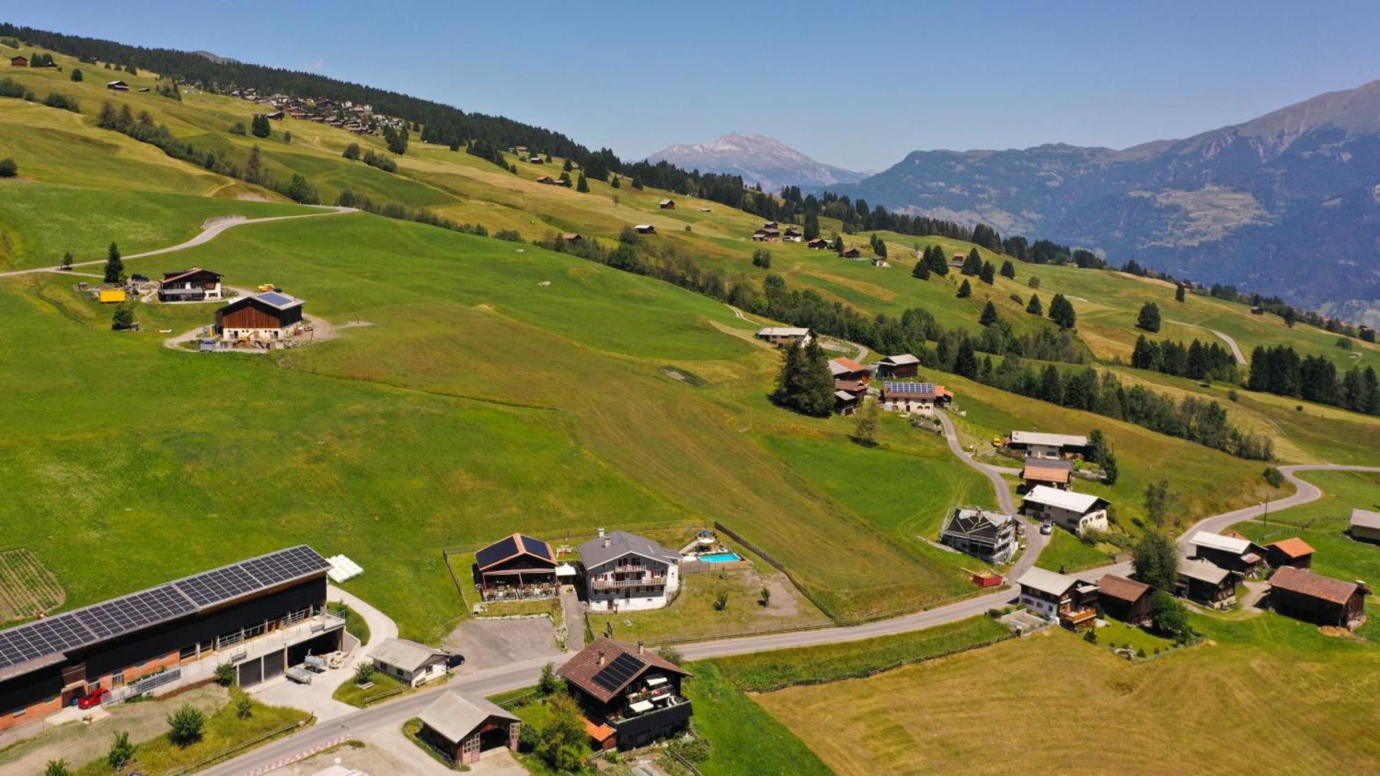 Alpina Tschappina